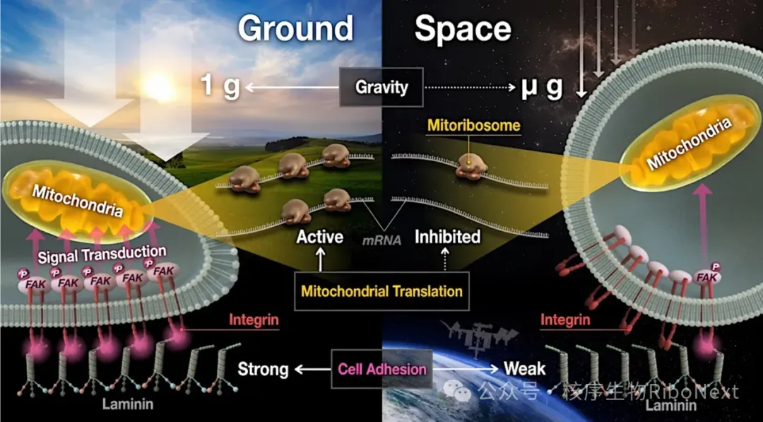 e18bf58d-88fd-47e6-8387-f909fc28e547.png