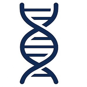 三代测序系列