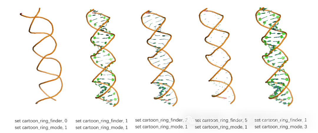 Pymol的使用（十九）：绘制不同表现形式的核酸